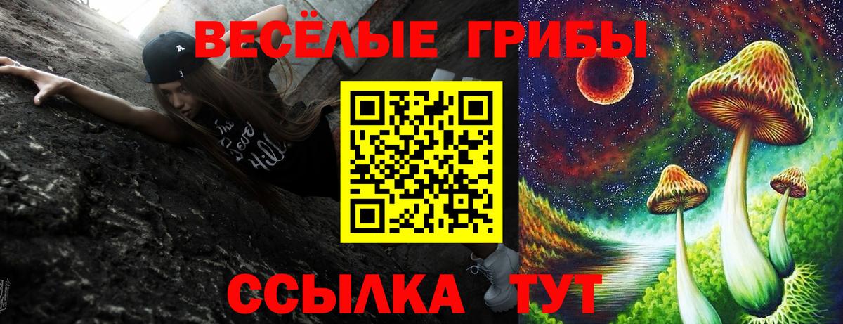 Кашира  Галлюциногенные грибы ЛСД  Вход с VPN 